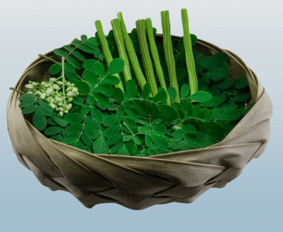 Drumstick leafe (Moringer fresh 250g) - Desi Grocery