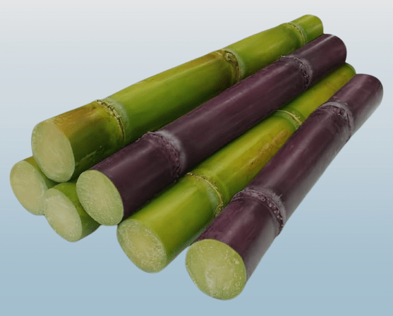 Sugar can (1piece ) - Desi Grocery