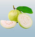 Guava 500g - Desi Grocery