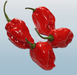 Red Chilli 250g - Desi Grocery