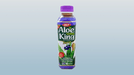 OKF Aloe Vera King Blueberry Drink 500ml - Desi Grocery