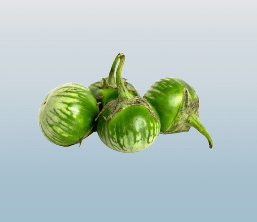 Green Aubergine 500g - Desi Grocery